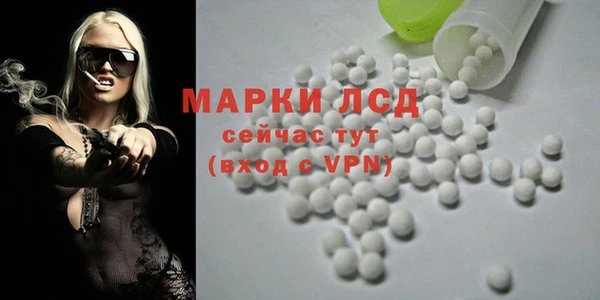 spice Горняк