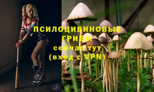 гашик Медвежьегорск