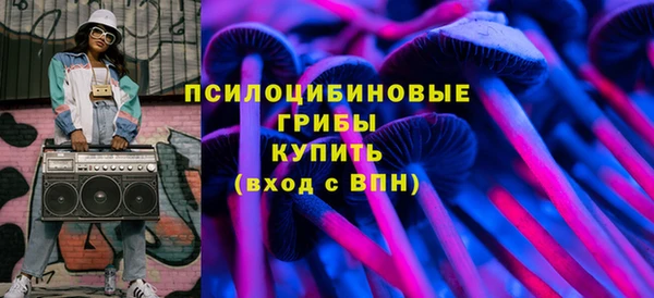 spice Горняк