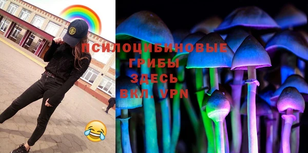spice Горняк