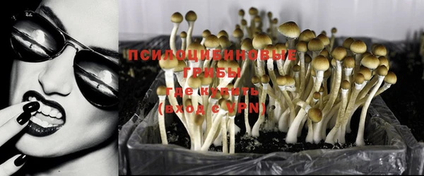 spice Горняк