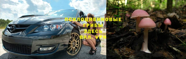 гашик Медвежьегорск