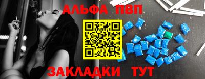 стафф Камышлов