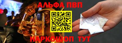 стафф Камышлов