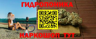 стафф Камышлов