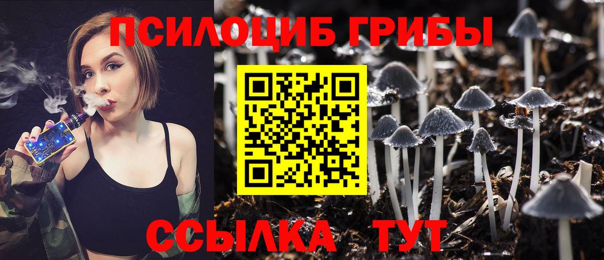 Похвистнево  Псилоцибиновые грибы ЛСД  Вход с VPN 